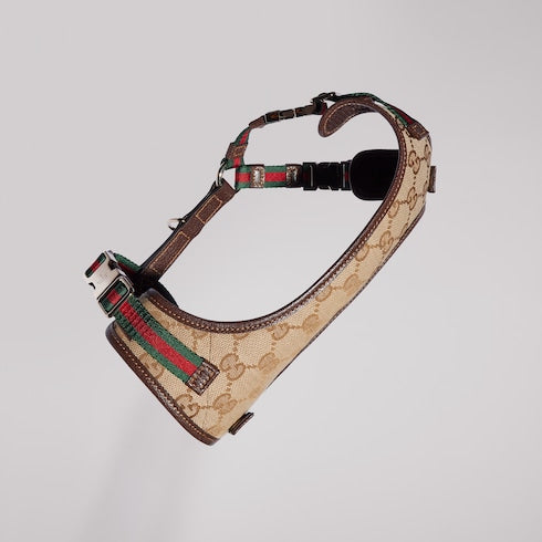 Extra-small padded pet harness