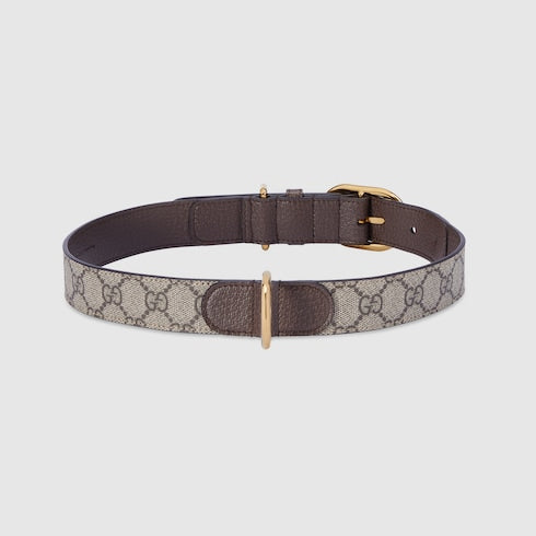 Large/extra-large pet collar