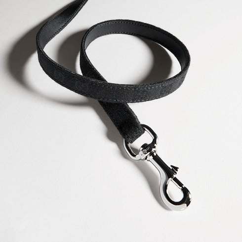 Extra-small pet leash