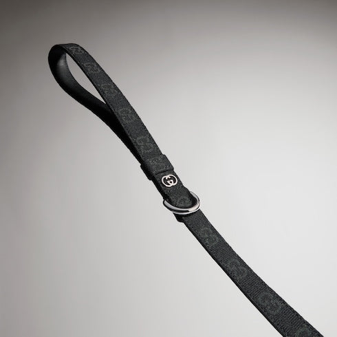 Small/medium pet leash