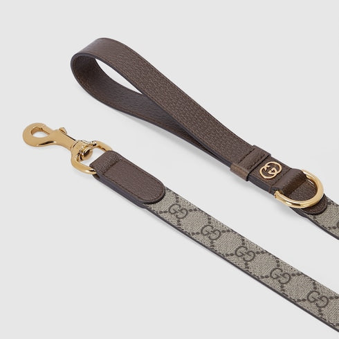 Large pet leash