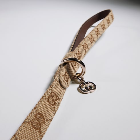 Extra-small pet leash