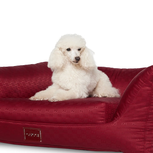 GG nylon pet bed