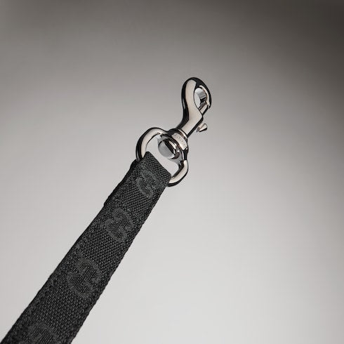 Small/medium pet leash