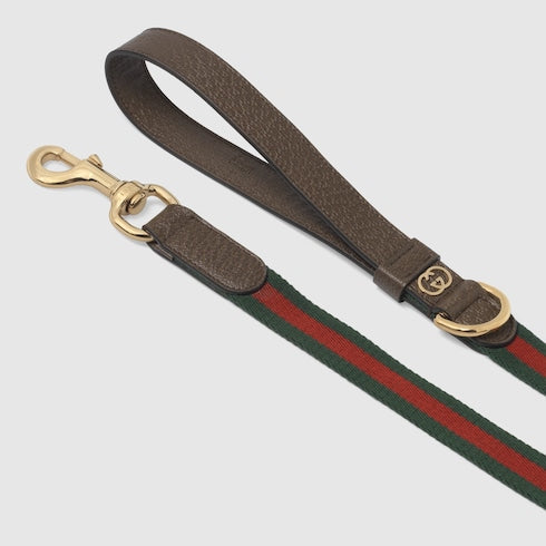 Large Web pet leash