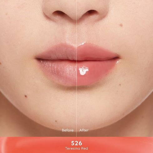 Gloss à Lèvres lip gloss