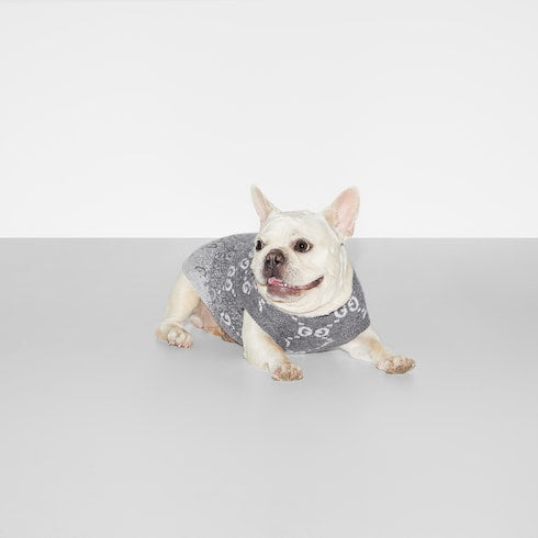 pet sweater