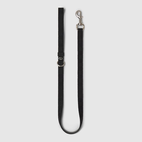 Small/medium pet leash