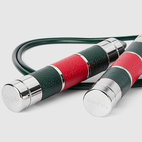 Jump rope with case
