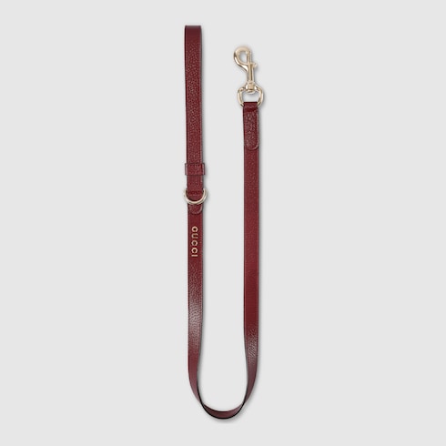 Small/medium leash