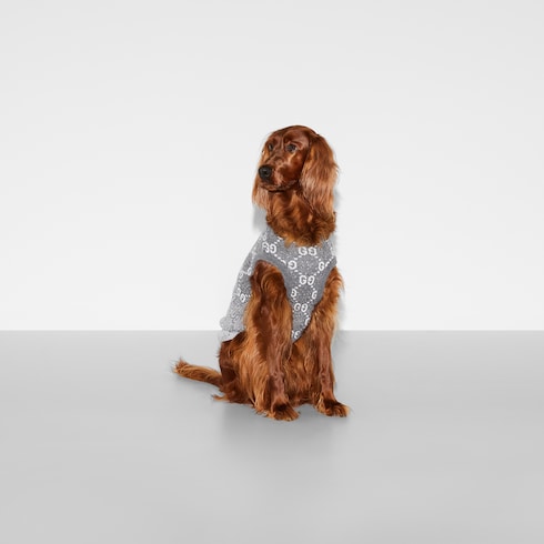 pet sweater