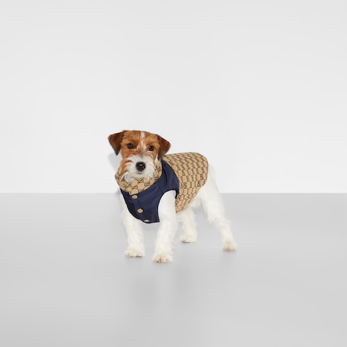 Reversible GG pet coat