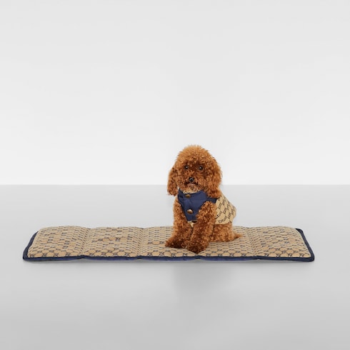 Reversible GG pet coat