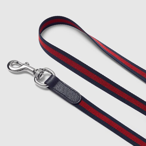 Crossbody pet leash
