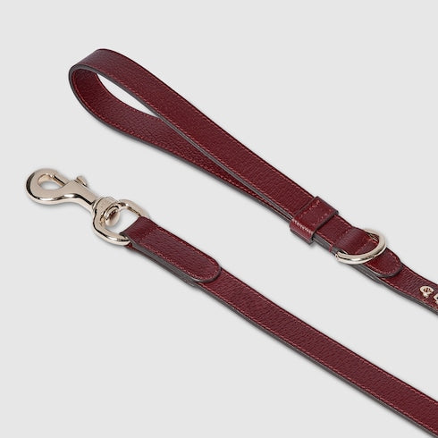 Small/medium leash