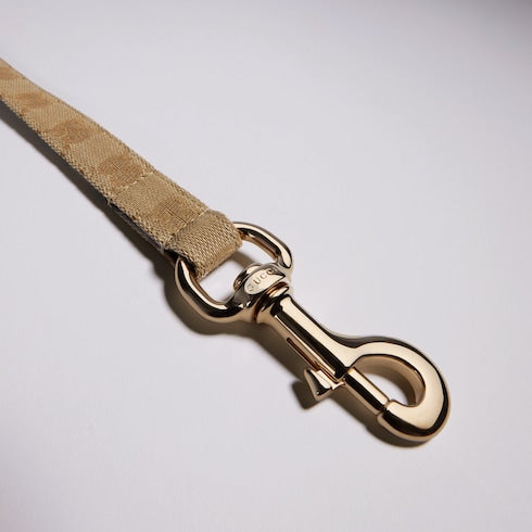 Small/medium pet leash