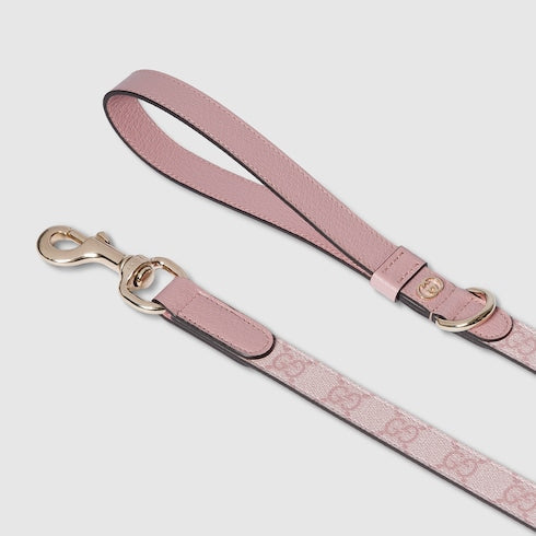 Small/medium leash