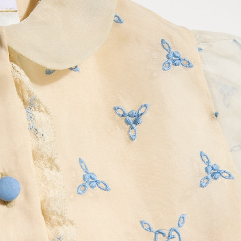 Baby embroidered silk dress