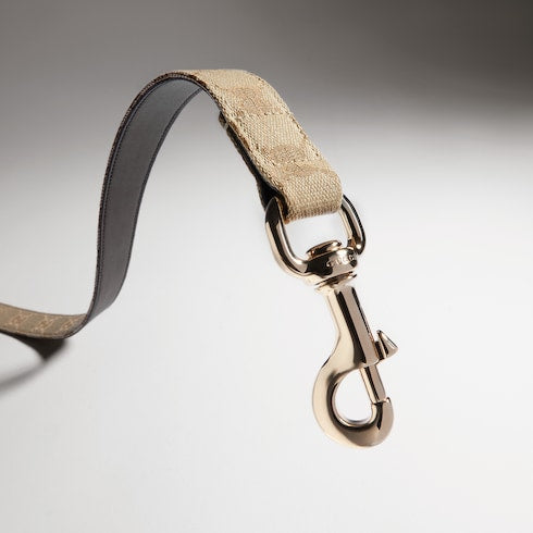 Large pet leash