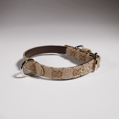 Extra-small pet collar