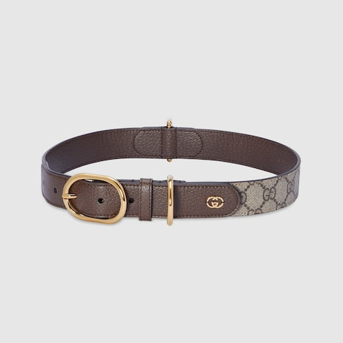 Large/extra-large pet collar
