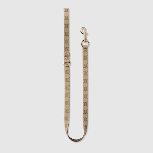 Small/medium pet leash