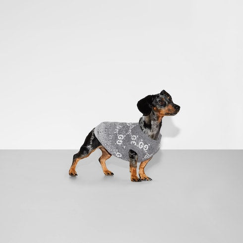 pet sweater