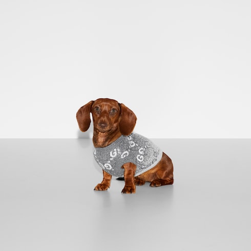 pet sweater