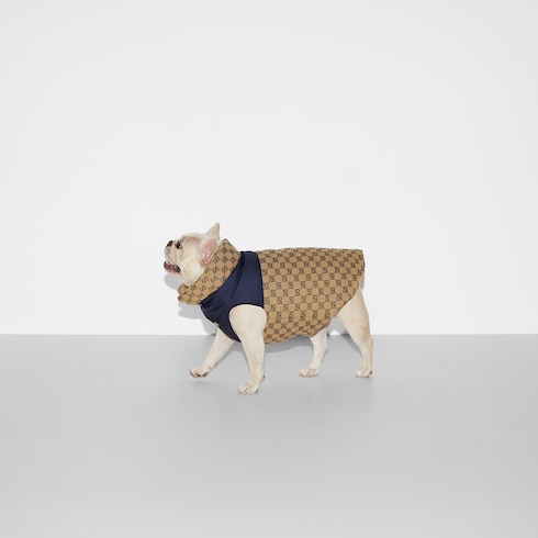 Reversible GG pet coat
