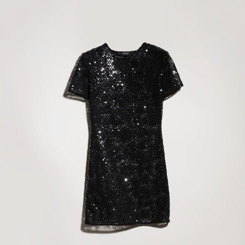 Embroidered tulle dress with sequins