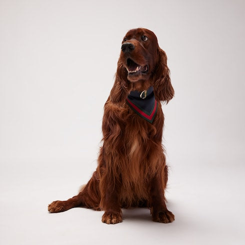 Large/extra-large pet bandana