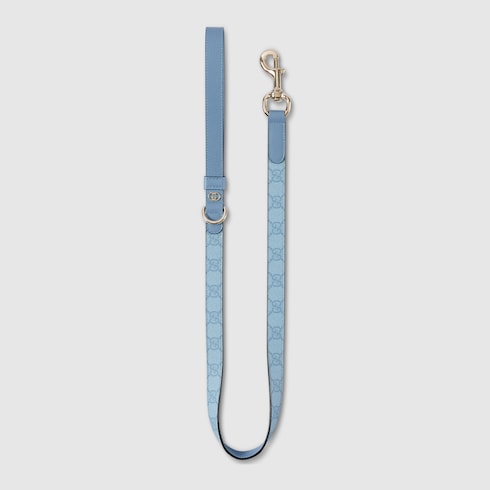 Small/medium leash